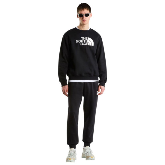 The North Face Ανδρικό παντελόνι φόρμας Evo Box Half Dome Regular Pants